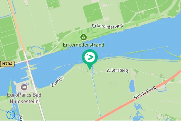 Gespotte IJsvogel