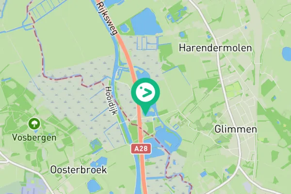 Gespotte Aalscholver