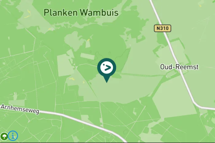 Gespotte Boerenzwaluw