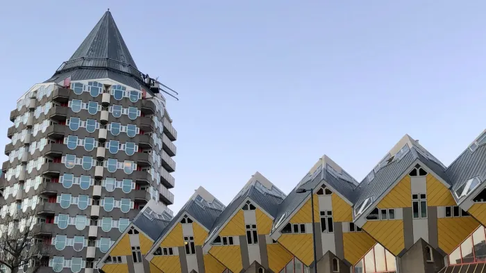 Rotterdam Blackbird Beat