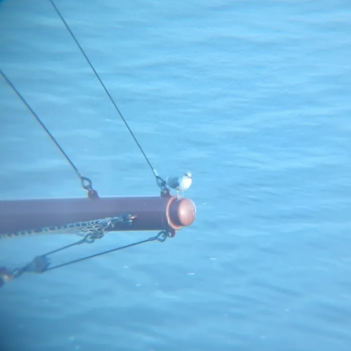 Unidentified sighting image