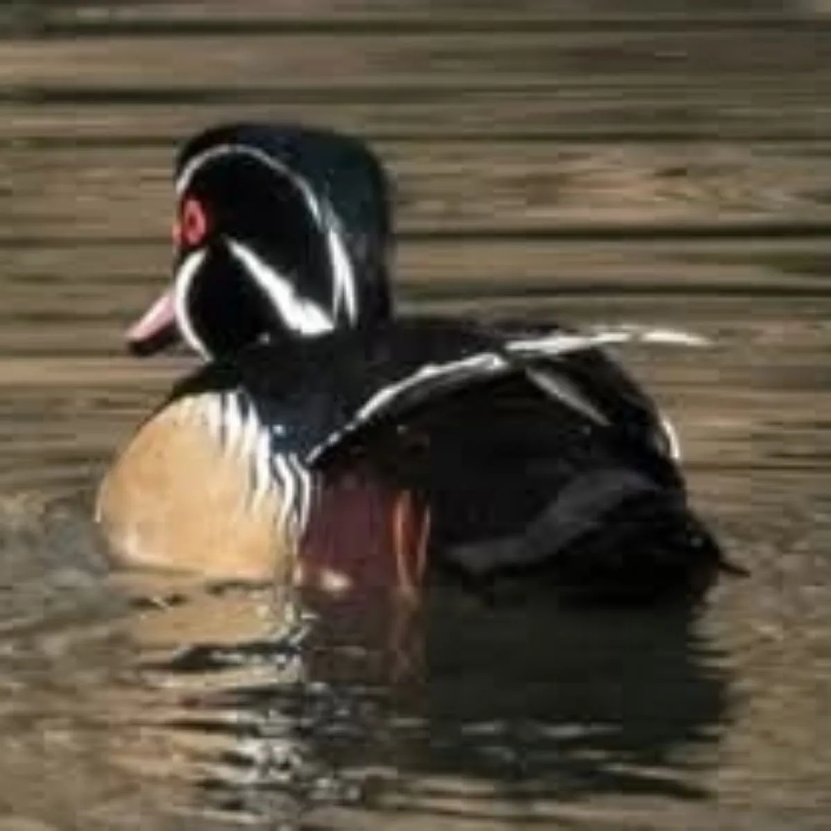 Unidentified sighting image