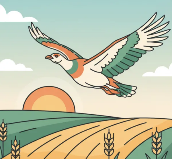 Bustards spotter