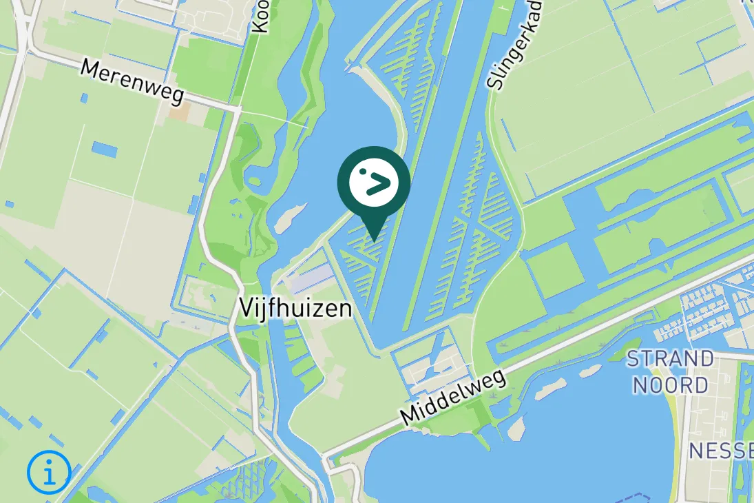 Spotted Spotted Redshank