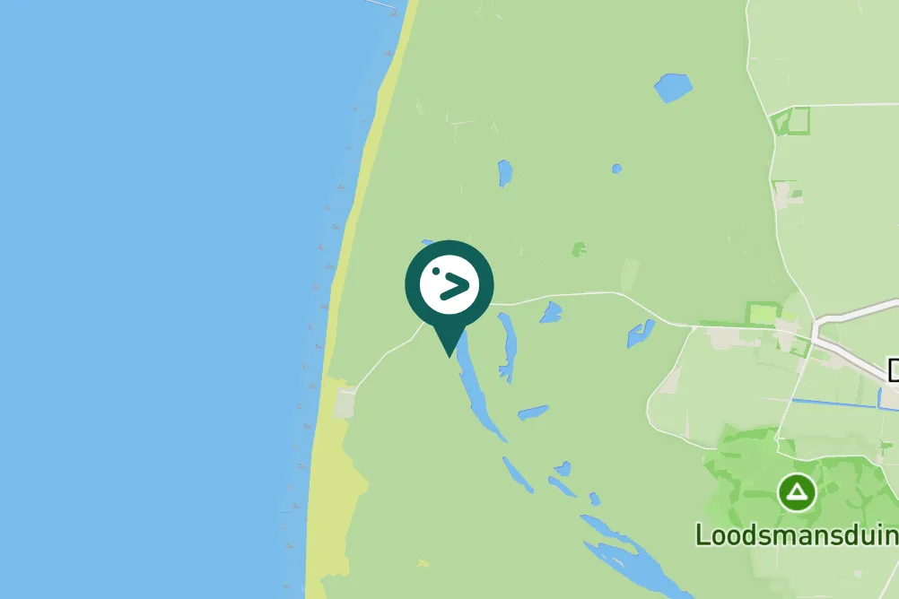 Spotted Caspian Gull