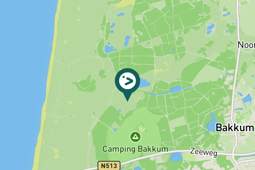 Spotted Little Ringed Plover