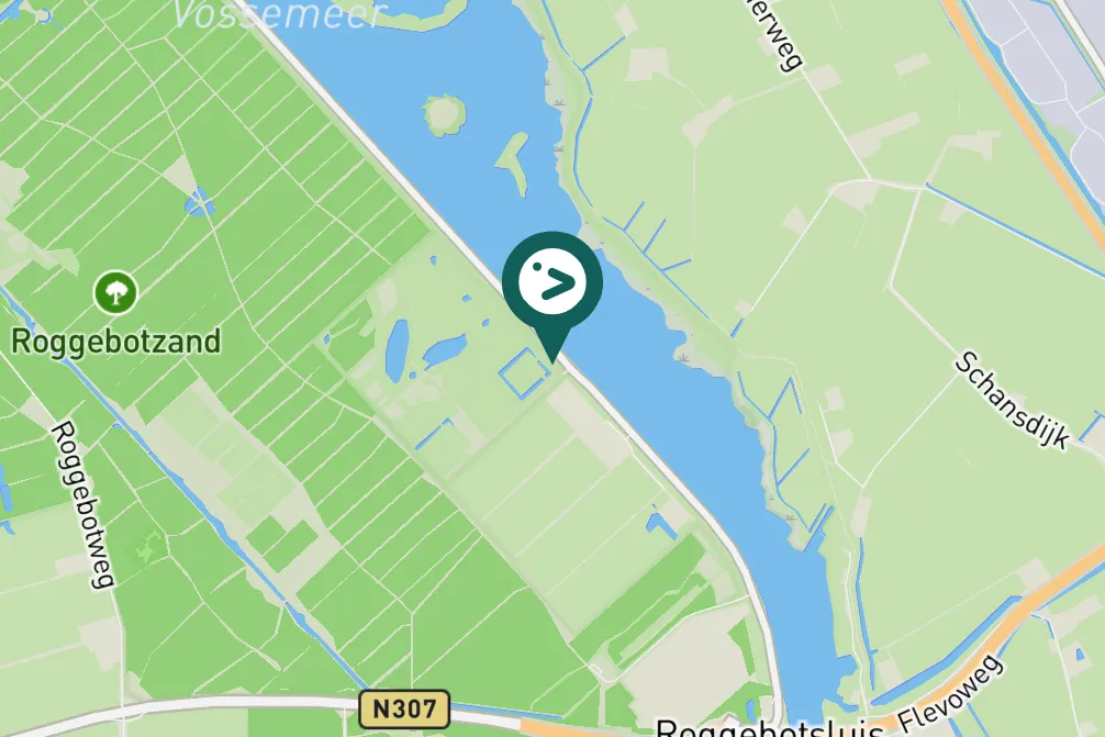 Gespotte Grote zilverreiger