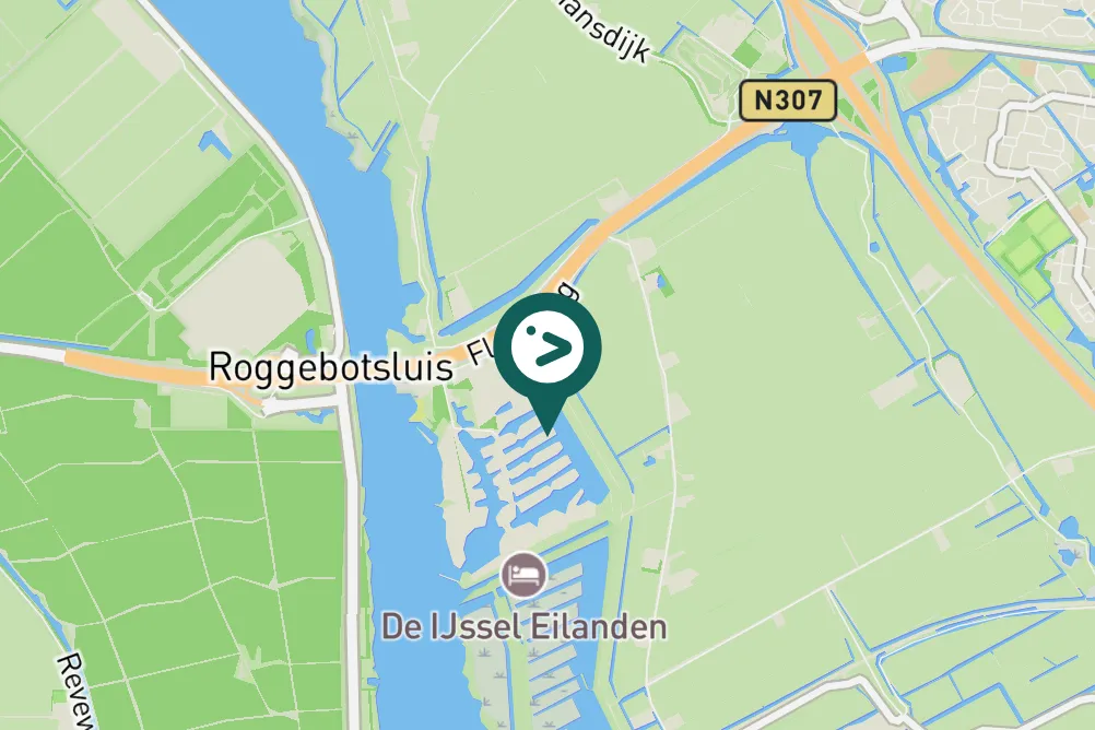 Spotted Common Sandpiper