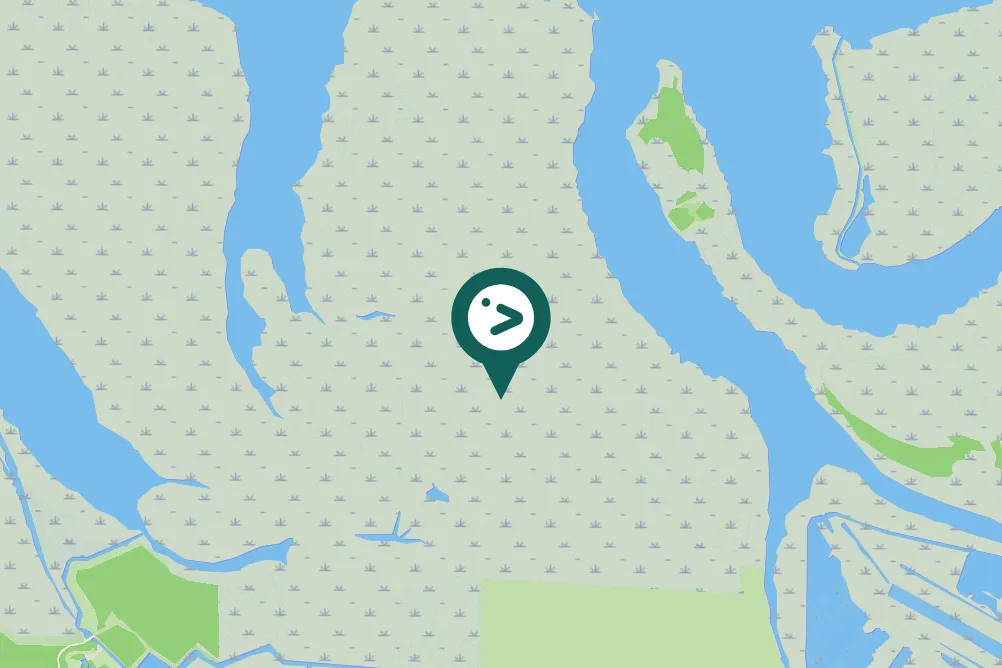 Spotted White-tailed Eagle