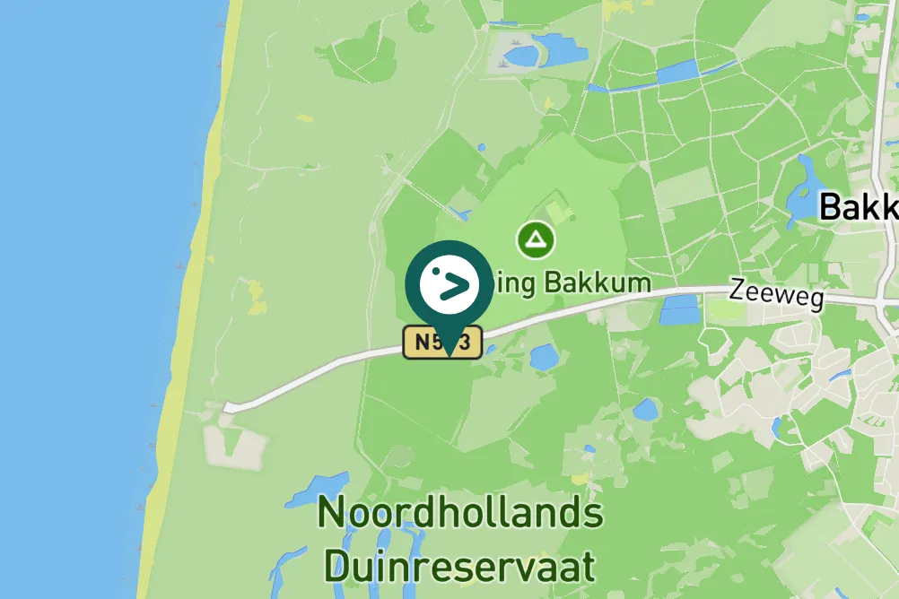 Spotted Yellow-browed Warbler