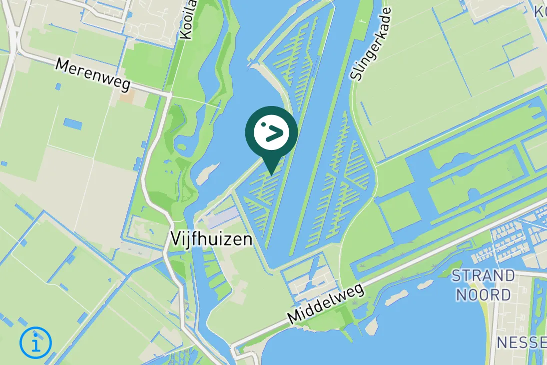 Spotted Common Ringed Plover