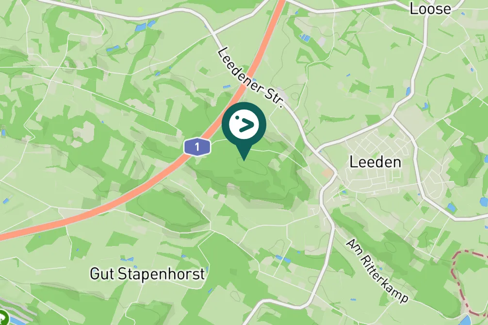 Spotted Parrot Crossbill