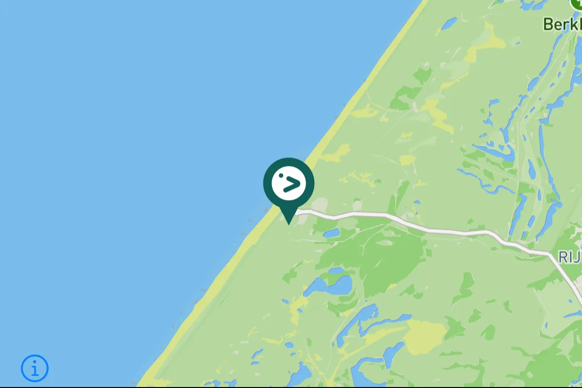 Spotted Northern Gannet