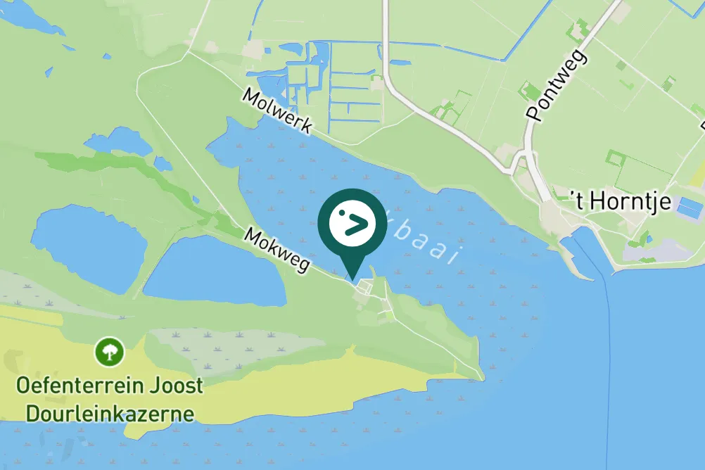 Spotted Common Greenshank