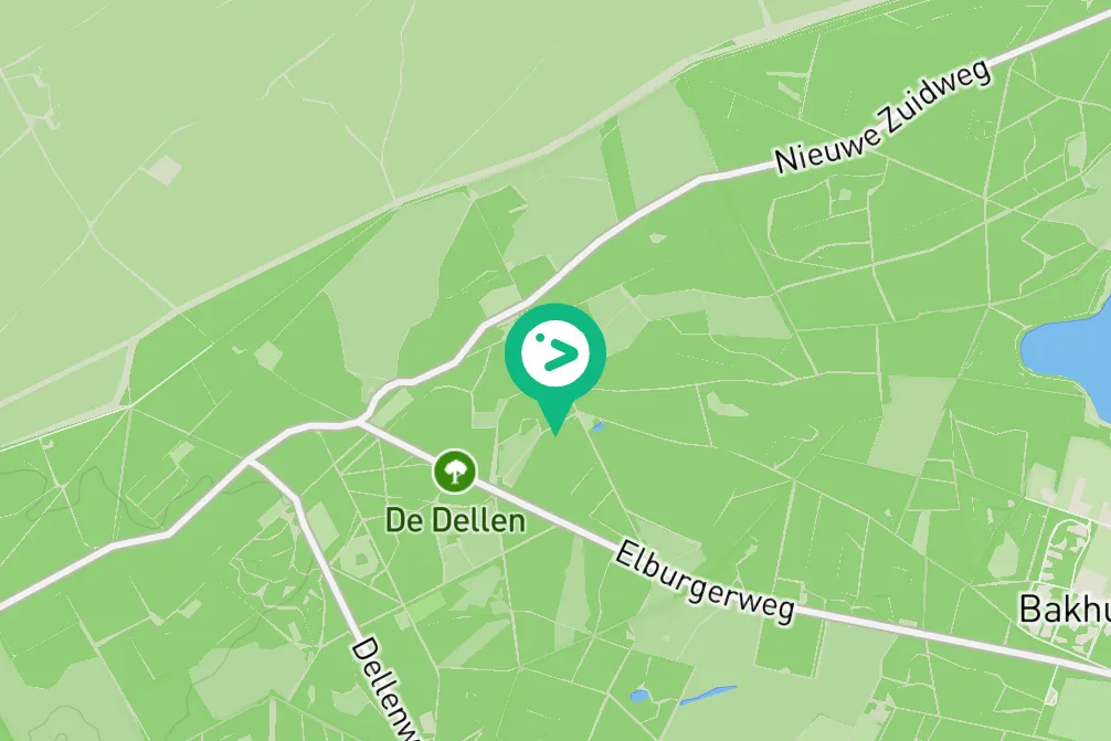 Spotted Spotted Flycatcher