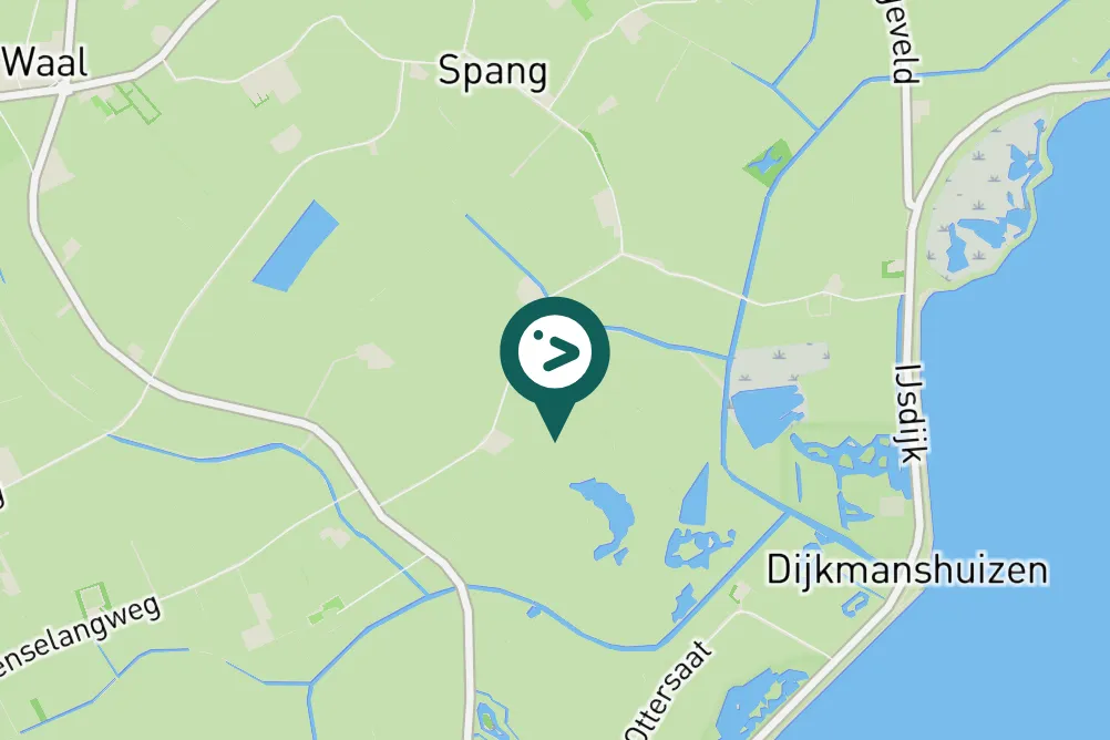 Spotted Red-breasted Goose