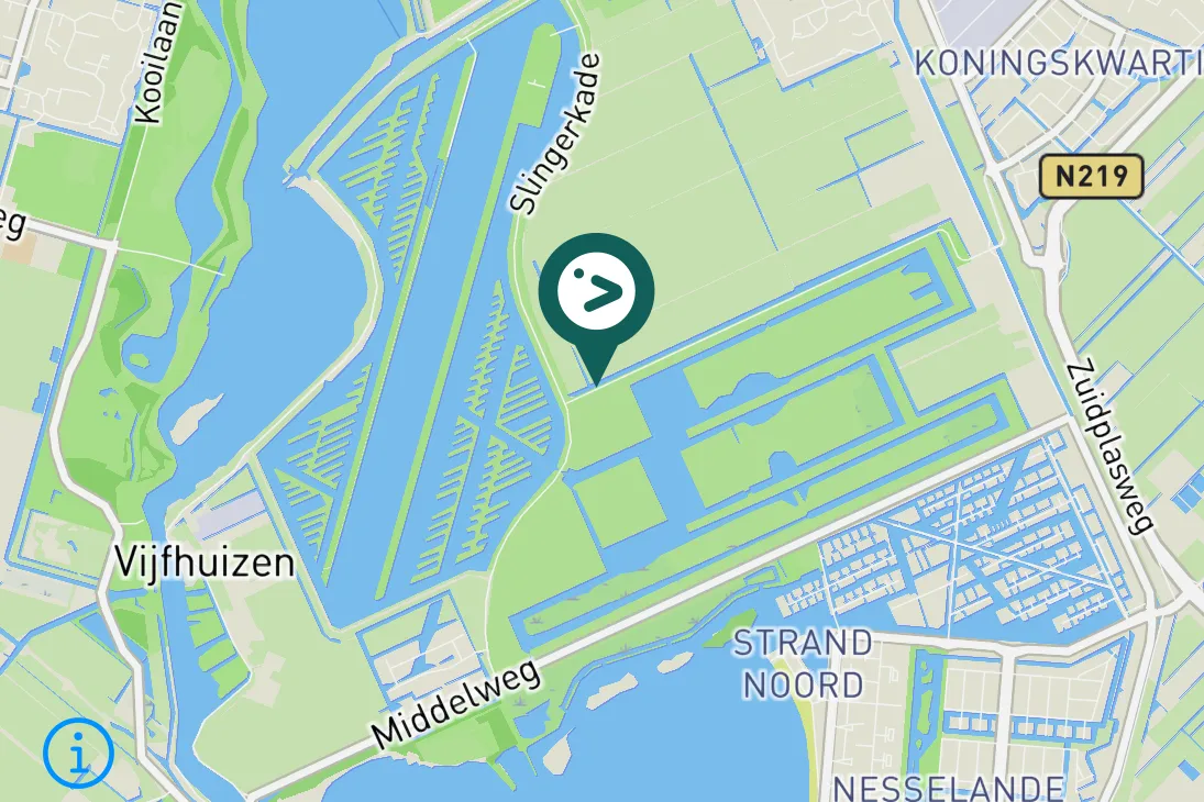 Spotted Eurasian Tree Sparrow