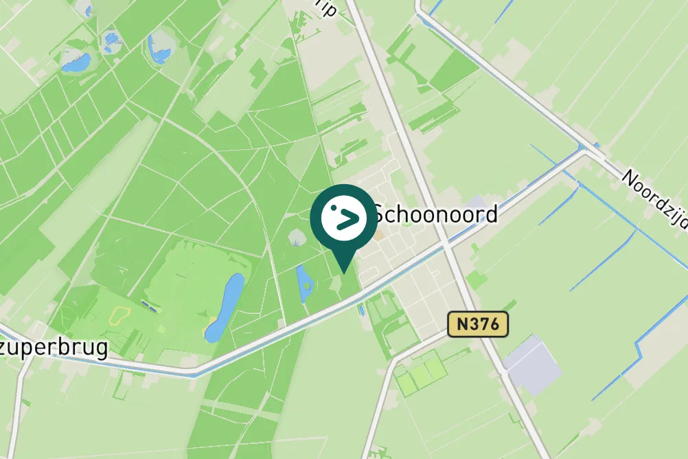 Spotted Western Barn Owl