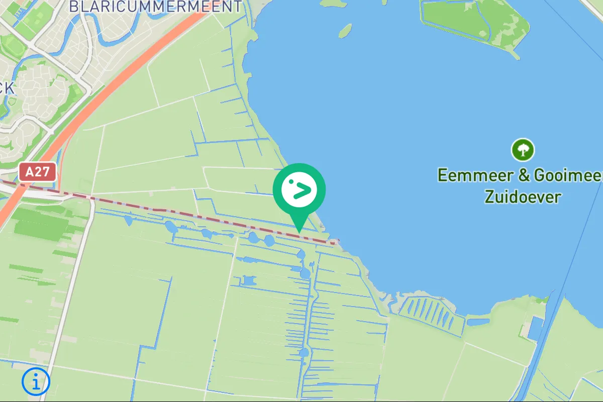 Spotted Northern Wheatear