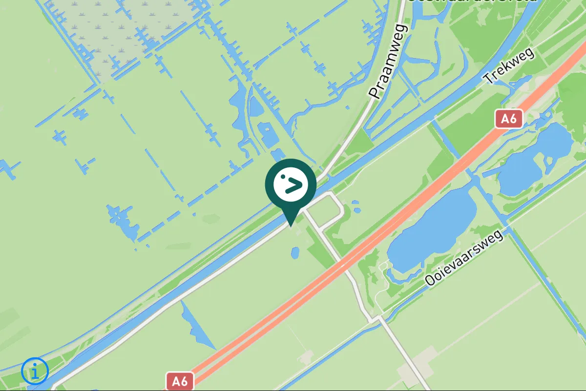 Spotted Rough-legged Hawk