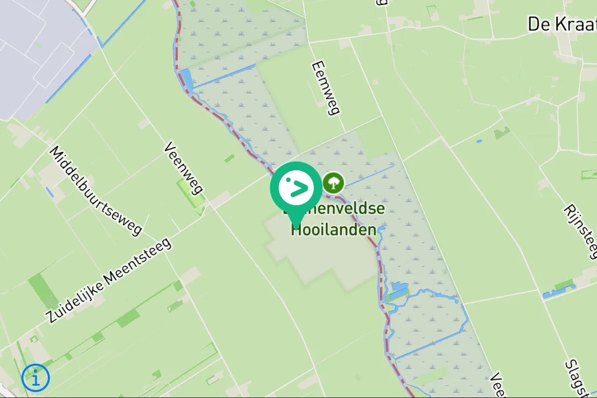 Spotted Northern Wheatear