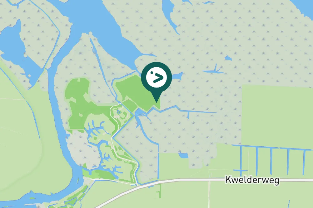 Spotted Common Buzzard