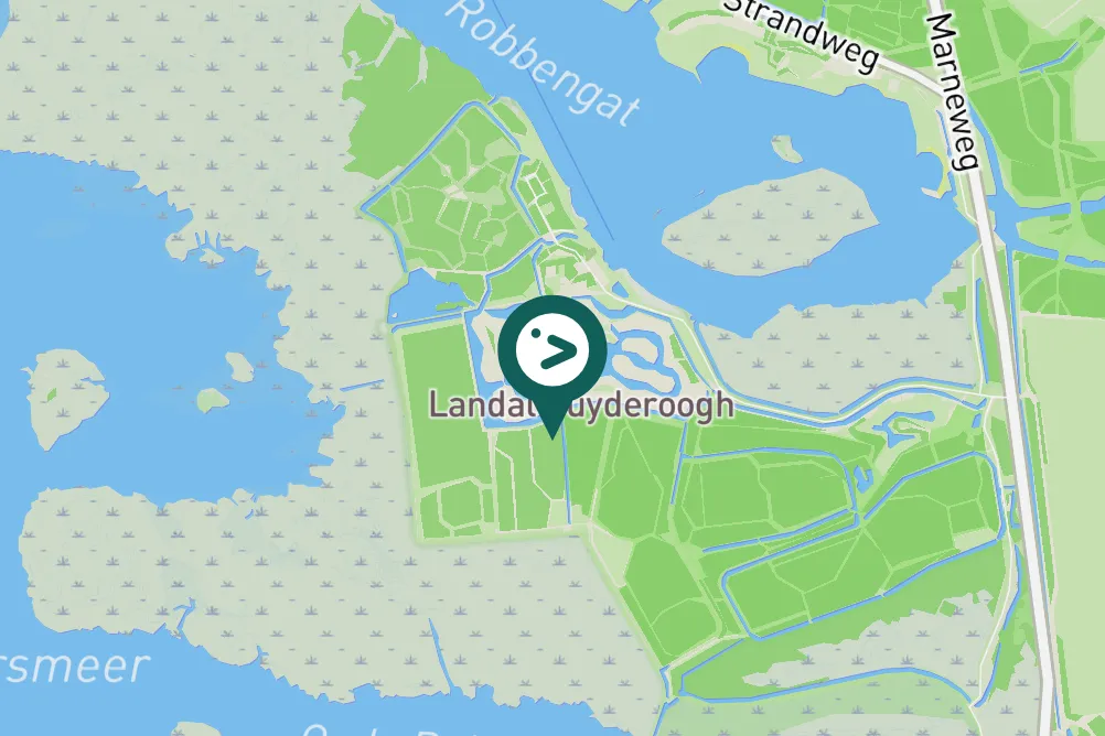 Spotted Willow Warbler