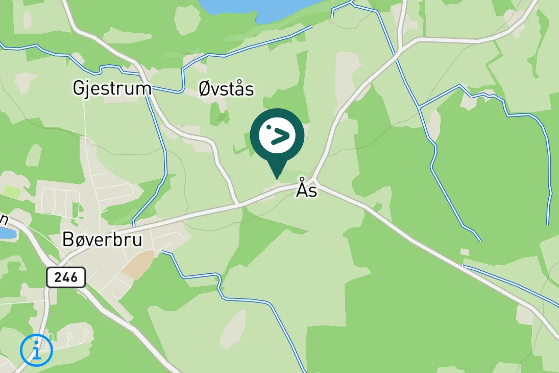 Spotted Northern Nutcracker