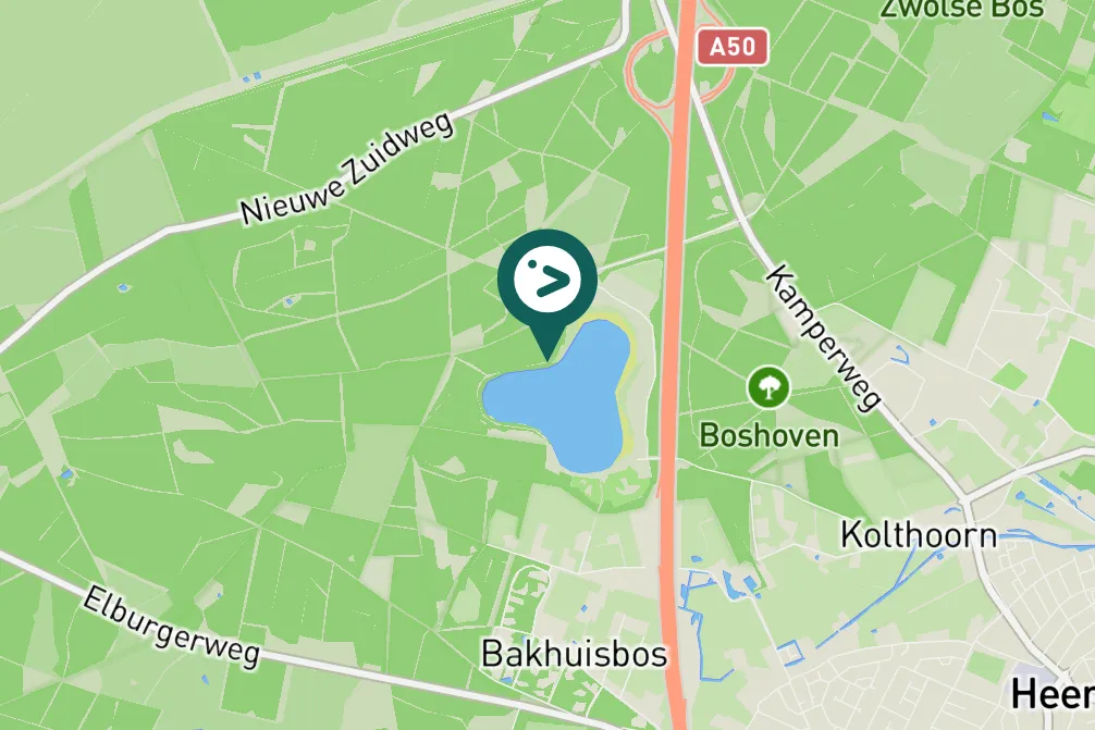 Spotted Great Crested Grebe