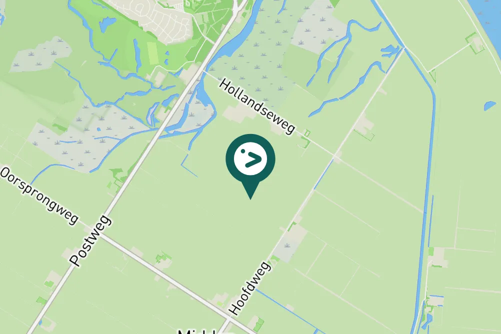 Spotted Eurasian Dotterel