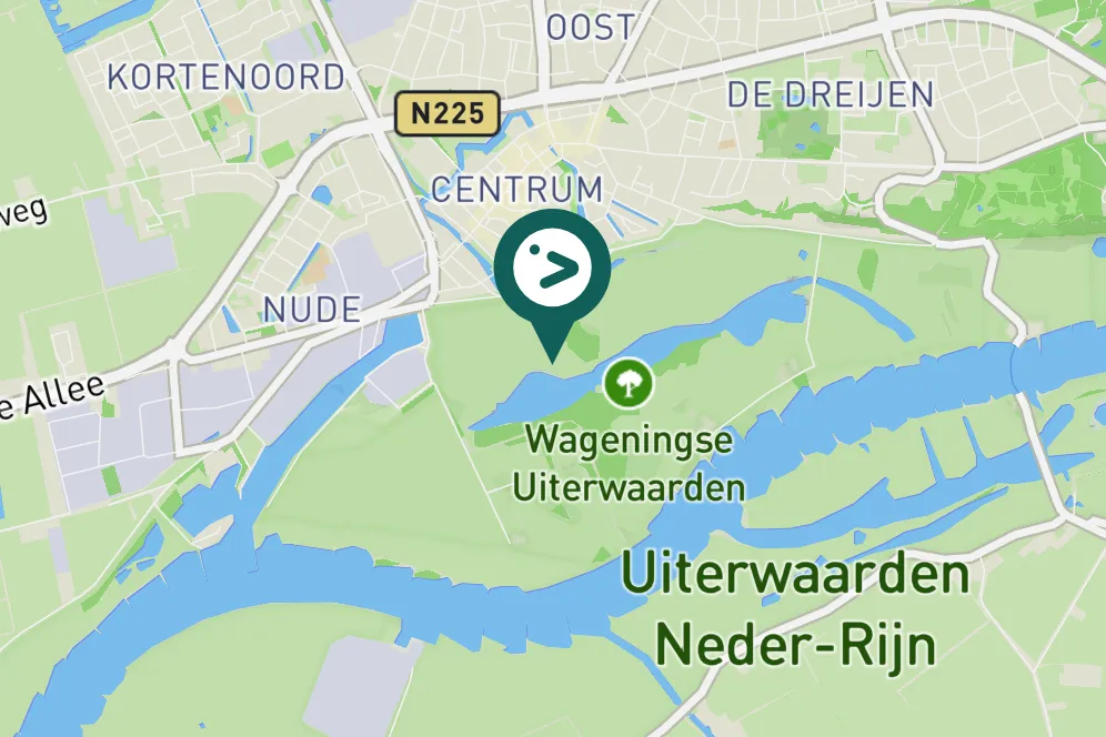 Spotted Cetti's Warbler