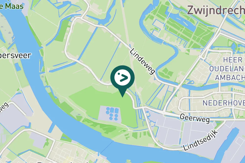 Spotted Common Swift