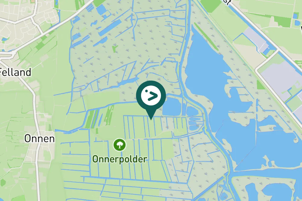 Spotted Black-winged Stilt