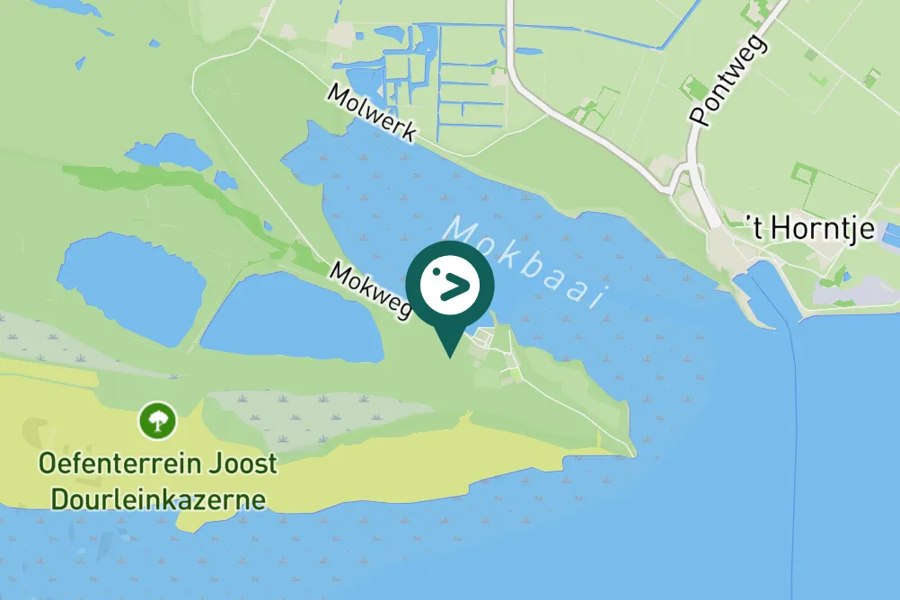 Spotted Common Ringed Plover