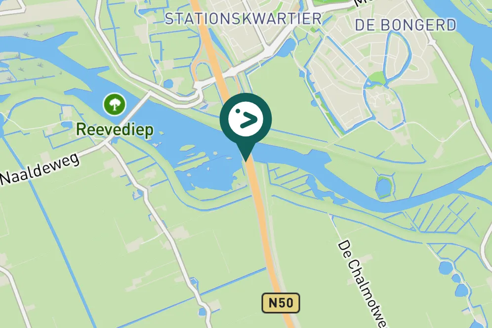 Spotted Black-winged Stilt