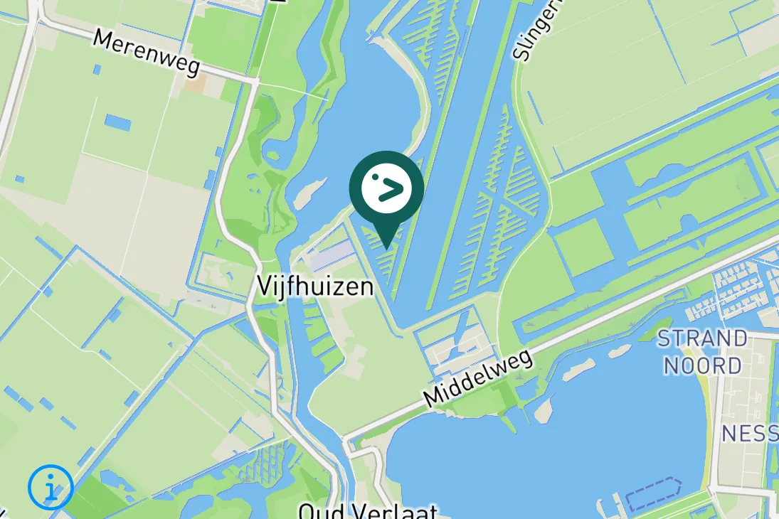 Spotted Ruddy Shelduck