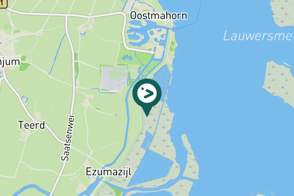 Spotted Wood Sandpiper