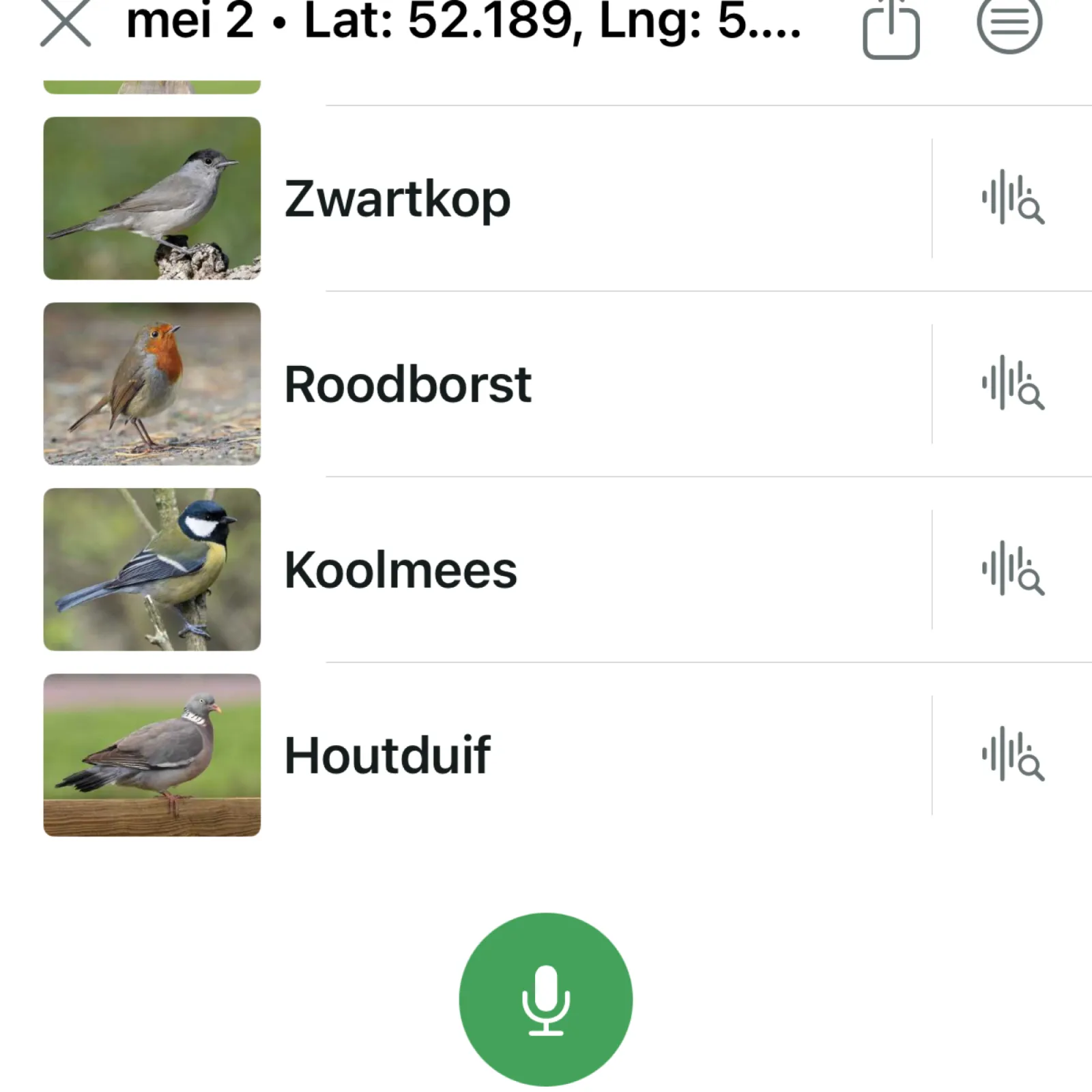 Waargenomen Houtduif