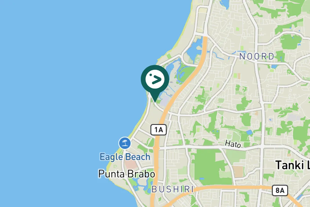 Spotted Carib Grackle