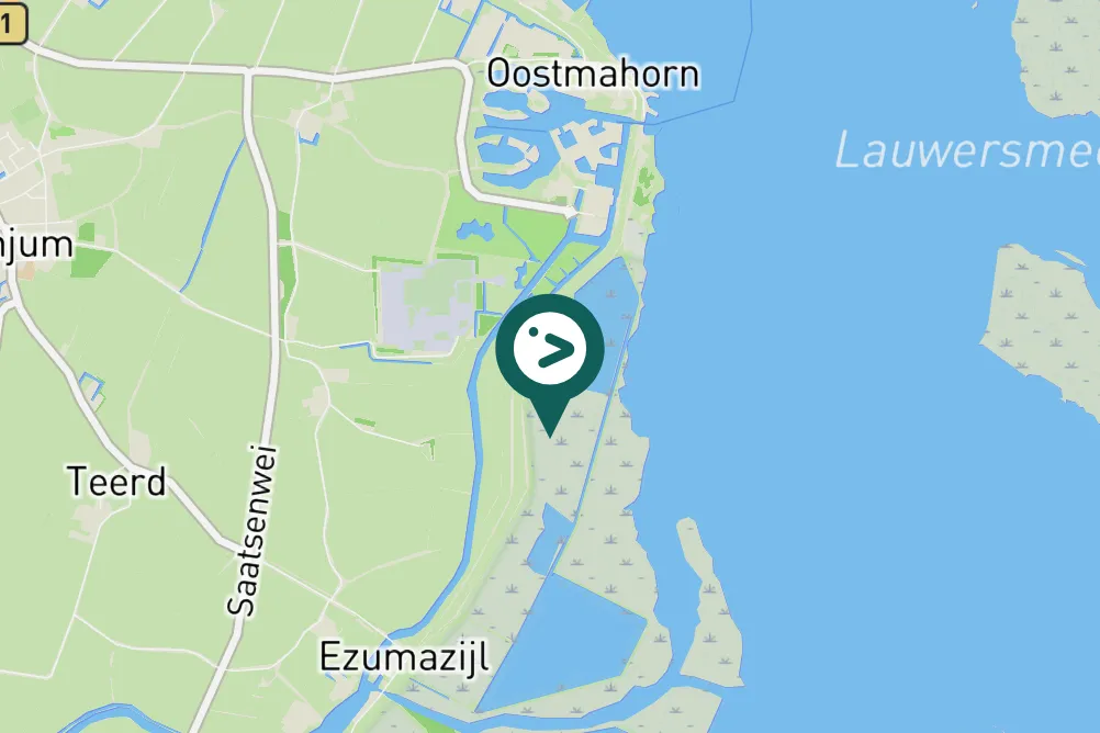 Spotted Little Stint