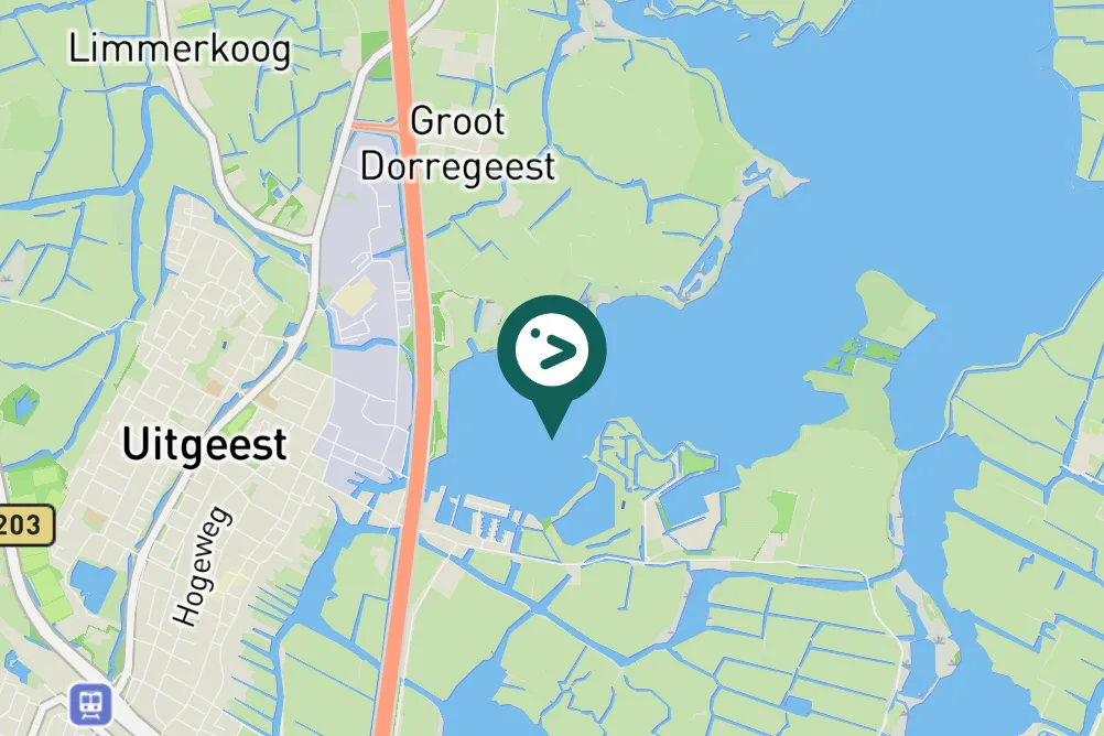 Spotted Common Swift