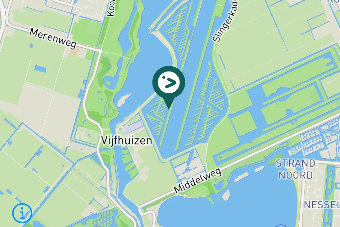 Spotted Western Yellow Wagtail