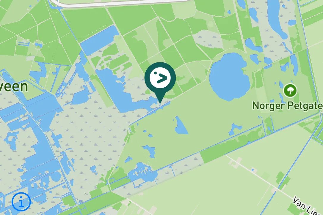 Spotted Pink-footed Goose