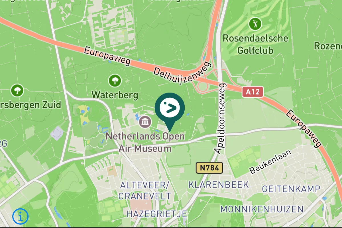 Spotted Spotted Flycatcher