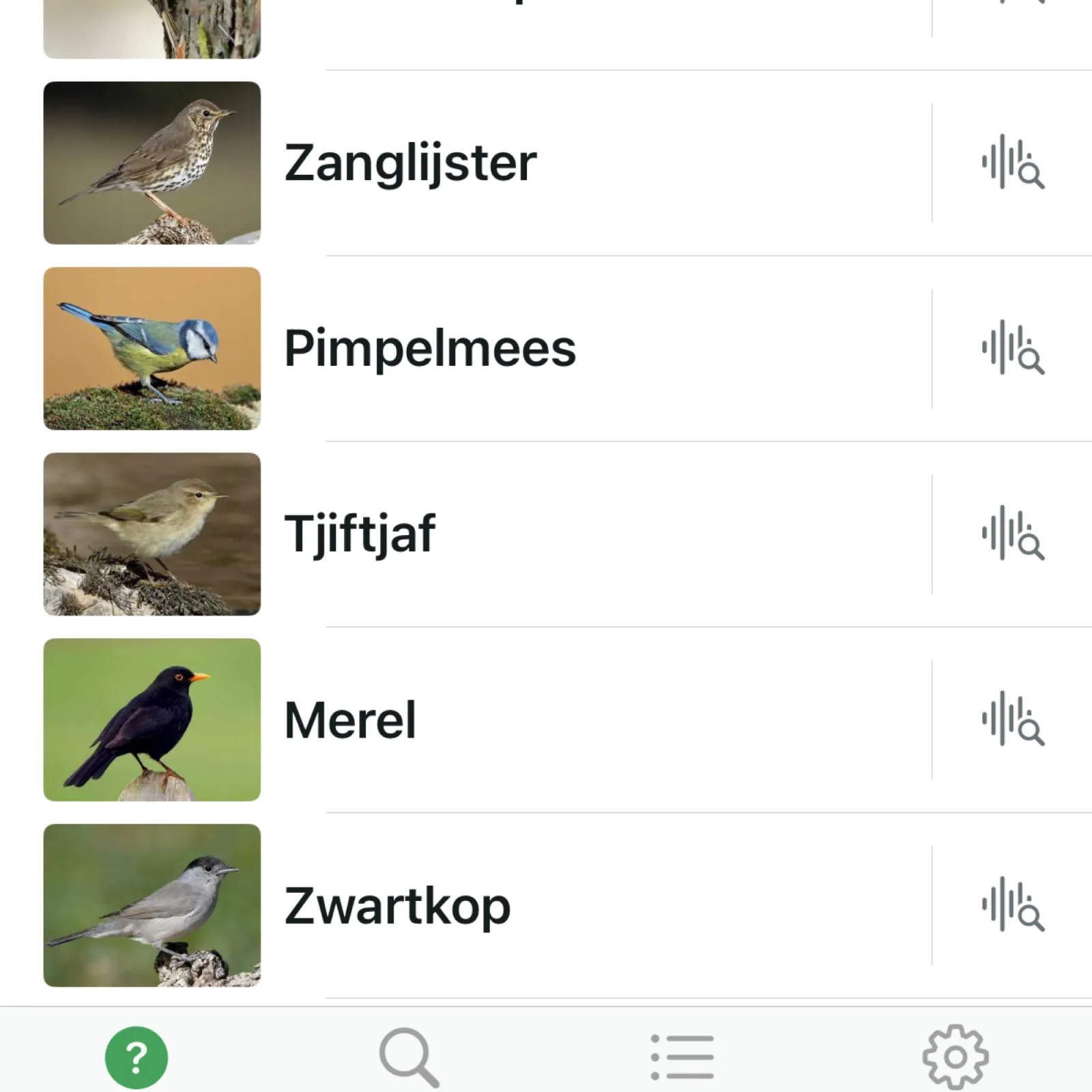 Waargenomen Zwartkop