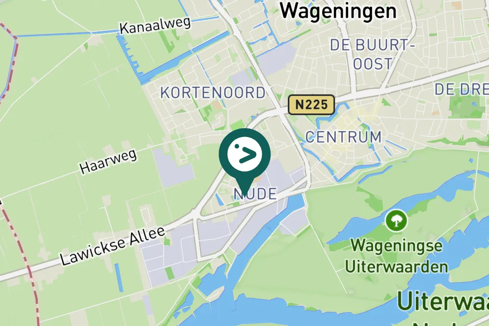 Spotted Common Cuckoo