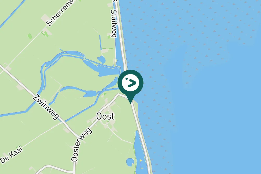 Spotted Common Greenshank