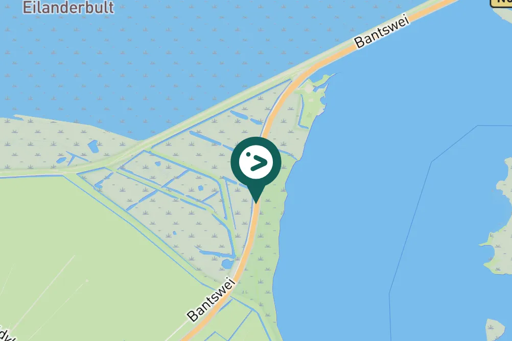 Spotted Eurasian Skylark