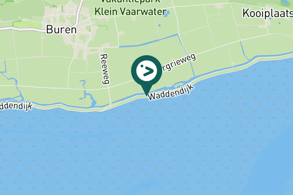 Spotted Isabelline Wheatear