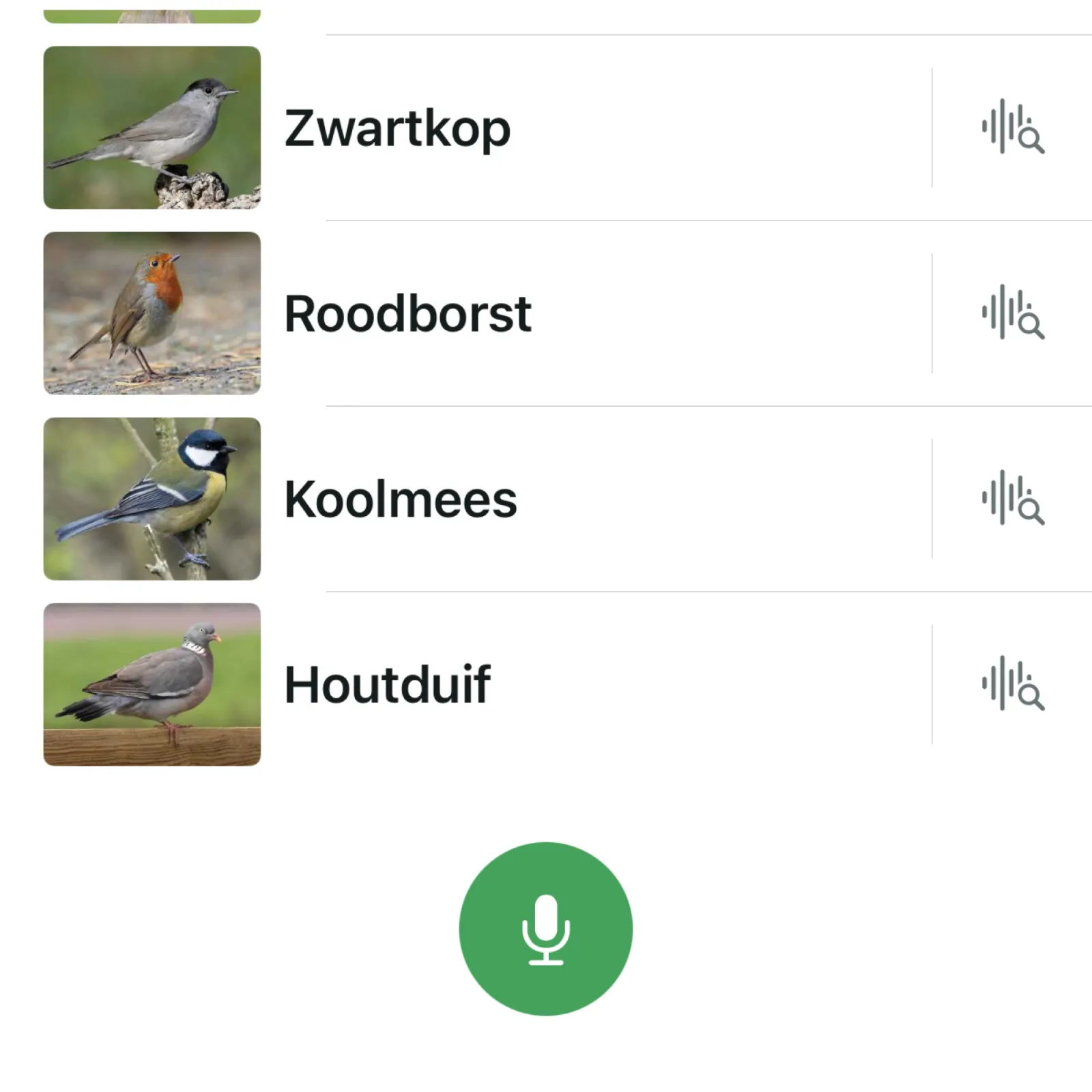 Waargenomen Koolmees